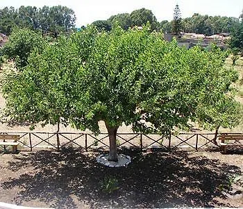 Sicily Country House & Beach Katania